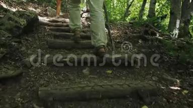 一群手里拿着木棍的游客沿着一条徒步小径在树林里散步。